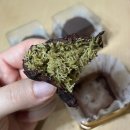 동그라미 | 제천 두쫀쿠 동그라미카페 일요일 방문 내돈내산 후기