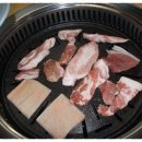 양양뒷고기 Daum카페