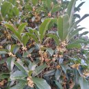 뜰가득한 이미지