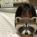 포돌이로 77 이미지