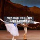 유니버설발레단 지젤 | 섬세함과 비극의 절정, 유니버설발레단 ‘지젤’ 관람 후기