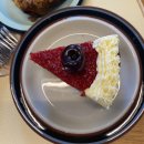 설빙양주덕정점 | 후기🦞🍚/ 개강후 첫째주 일상 상계 “코코로 돈까스”/노원 로니로티 후기/양주덕정 맛집 “육전국밥”