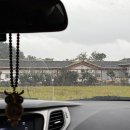 너즐비 | [왓츠인마이블로그] 경주 신상 한옥 카페 노경보차라파 후기 | 365일 내내 비오는 한옥 카페?!