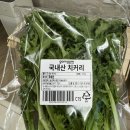 육지 거북이 주식의 종류, 육지 거북이 주식인 치커리 2kg, 라디치오 그린팜에서 주문 후기
