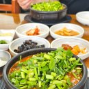 춘천 신북 맛집 청강어탕수제비 본점 칼국수 미나리 추가 내돈내산