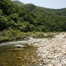 라고스테마 이미지