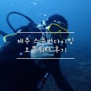 제주 스쿠버다이빙 오픈워터 취득 후기 :: 뉴헤븐, 모행 게하