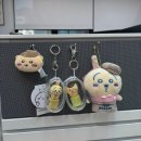 바닷가 돌담집:일상초대 | 2026年 3月 2 일상 _ 대구 출장 여원찜갈비 엘지 먼작귀 러버