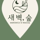 새벽-숲 이미지