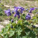 국립DMZ자생식물원방문자센터 이미지