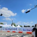 뱃놀이 | [화성] 동탄 가볼만한 곳 2026 화성 뱃놀이 축제 후기