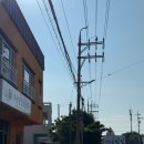 탐라리조트 | [제주] 제주 금호리조트 근처 아침식사 태공밥집 동쪽...구좌 소금바치순이네 웨이팅 후기 혼인지 수국