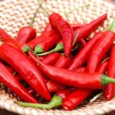 고명농장 이미지