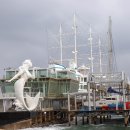 바다부채길1 이미지