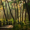 염원의 타임캡슐 이미지