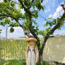 스테이샬롬 이미지