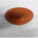 김순옥농장 이미지