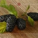 용우농장 이미지