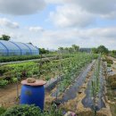 풍년농약마트 이미지