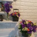 은평-049 이미지