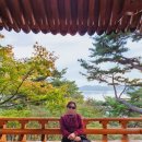 대한민국상이군경회 청주사업소 | 대전 근교 충북 가을 여행지 청남대 단풍 메타세콰이어 숲길 위치