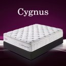 시그너스(Cygnus) 이미지