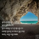 신가네 이미지