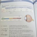 평안안과의원 | 우디 체험기_수연세안과 라섹