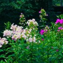 초록세상 이미지