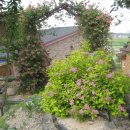 자라는 씨앗 이미지