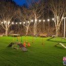 낭만애견 이미지