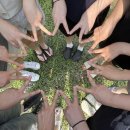 안나하우스벨리 이미지