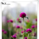 관산작은도서관 이미지