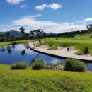 로얄스크린골프 이미지