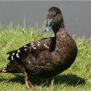 그림책보드게임 이미지