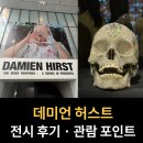 우리들의 아름다운 예술 | 데미언 허스트 전시 후기 | 관람 포인트 총정리 | 정답 없는 예술의 경계 | 국립현대미술관