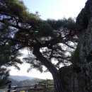 소현1리 | 4대강국토종주길 제15구간 22.6km, 제1부 상풍교-경천대무우정까지 7.7km 2018. 11/14
