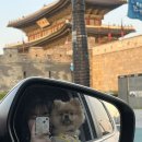 벌크커피 수원화서점 이미지