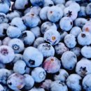 나누리농원 이미지