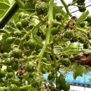 (주)엠그린 이미지