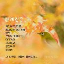 장금이푸드 이미지