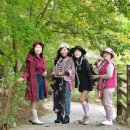 10월22일(수)대청호 청남대국화축제 / 더리스 대청호 거위함께 이미지