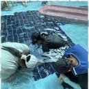 참사랑태권도 이미지