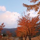 팬션 패트로누스 이미지