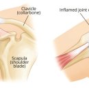 경희정진한의원 이미지
