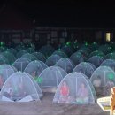 화엄사로 이미지