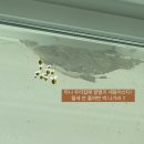 방충망영웅 이미지