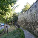 성북동-872 | 서울 도심에 포근한 뒷동산을 거닐다. 남산 산책 (한양도성, 남산둘레길, 서울타워, 남산야외식물원...)