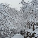 홍천팬션위드엘 이미지