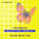법인나비
